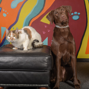 Fundraising Page: Beth M Anderson